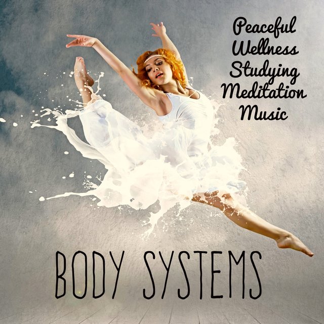 Body Systems - Peaceful Wellness Studying Meditation Music Masters for Mind Spiritual Power with New Age Instrumental Soothing Sounds