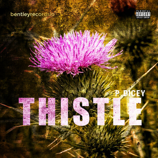 Thistle