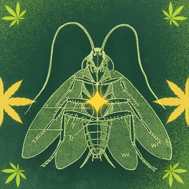 La cucaracha
