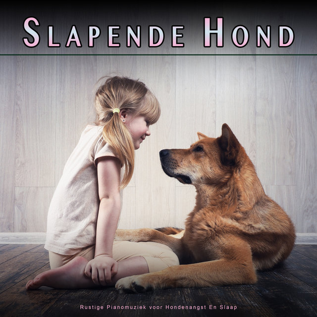 Slapende Hond: Rustige Pianomuziek voor Hondenangst En Slaap