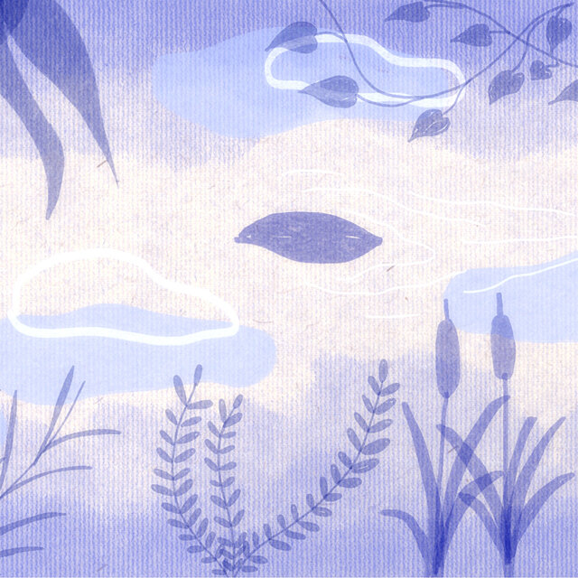 leaves on a stream