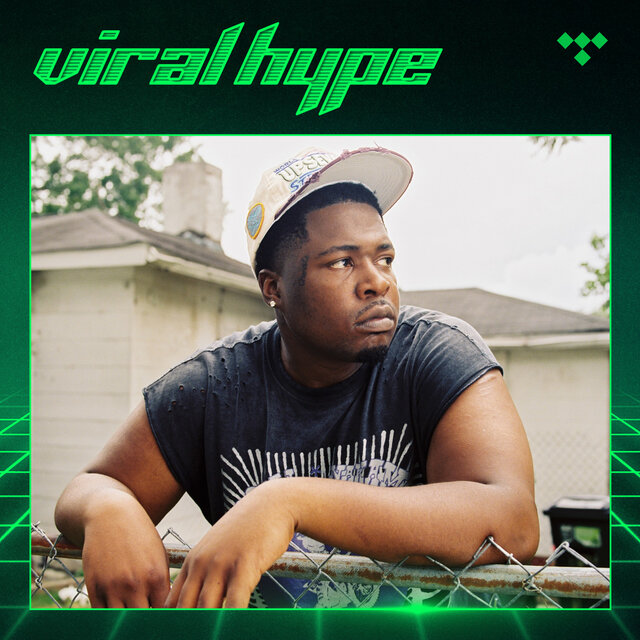 Cover art for album Viral Hype by TIDAL