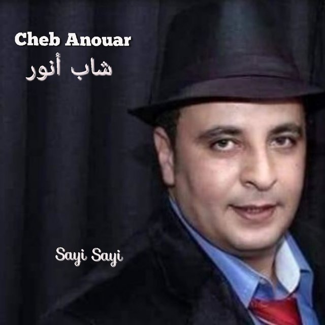 Sayi Sayi