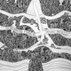 Cover art for album Desire Pathway by Screaming Females