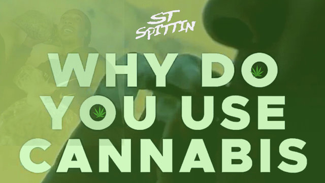 Why Do I Use Cannabis? (Official Video)