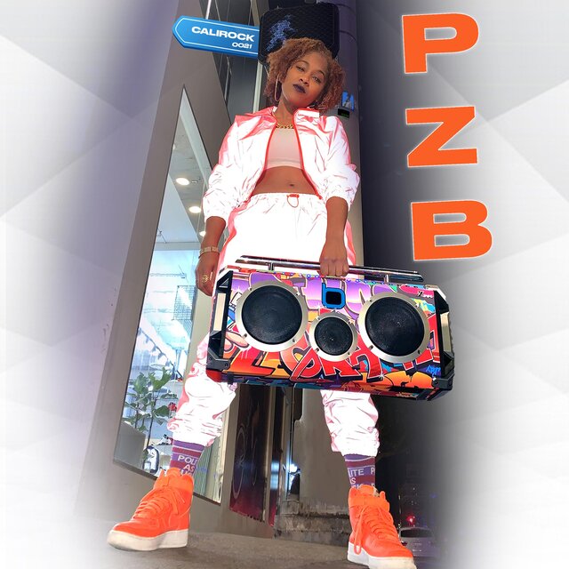 Cover art for album 0021 by PZB