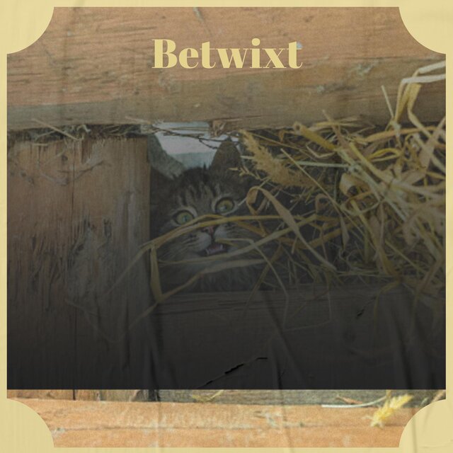 Betwixt