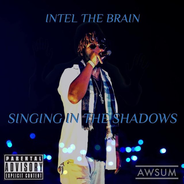 Singing In The Shadows