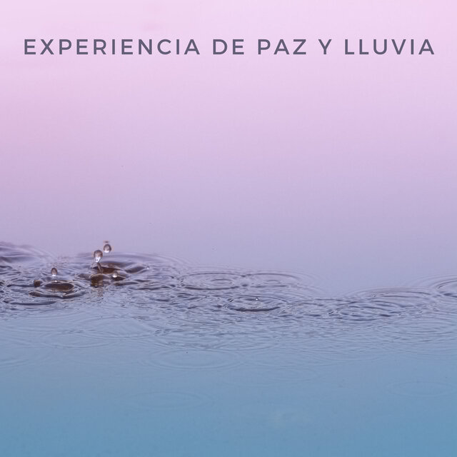 Experiencia De Paz Y Lluvia