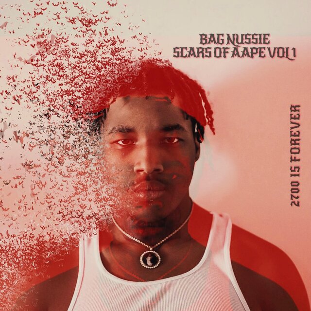 Scars Of A Ape Vol 1