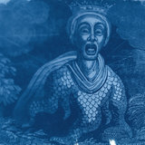 The Nataris