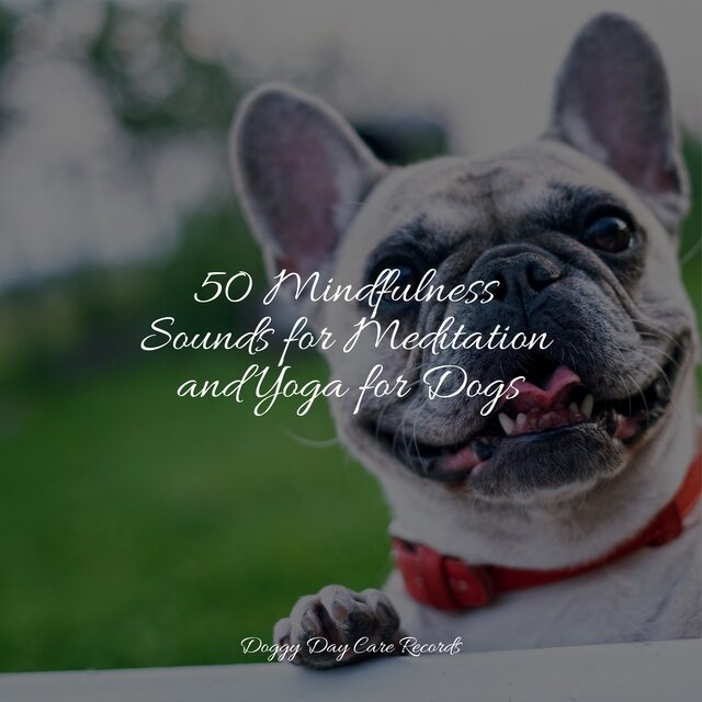 50 Mindfulness Sounds for Meditation and Yoga for Dogs