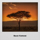 Bruce Sunshine