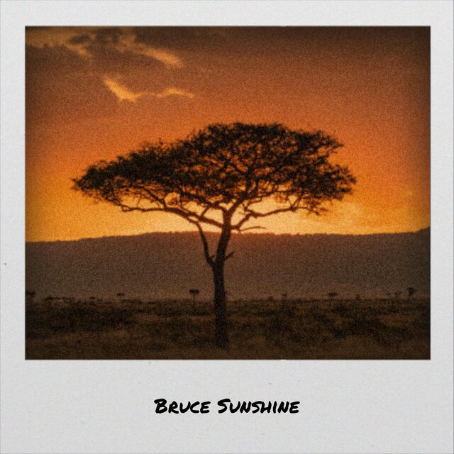 Bruce Sunshine