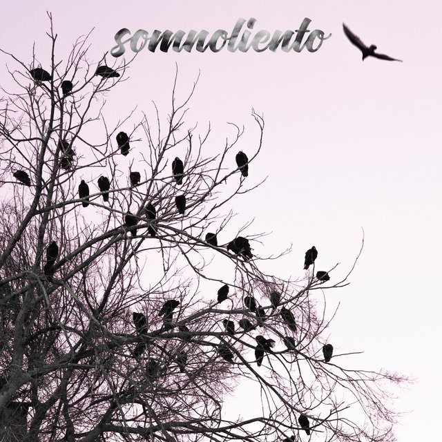 Somnoliento (feat. Smpl & Giova)