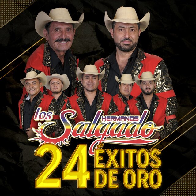 24 Éxitos de Oro
