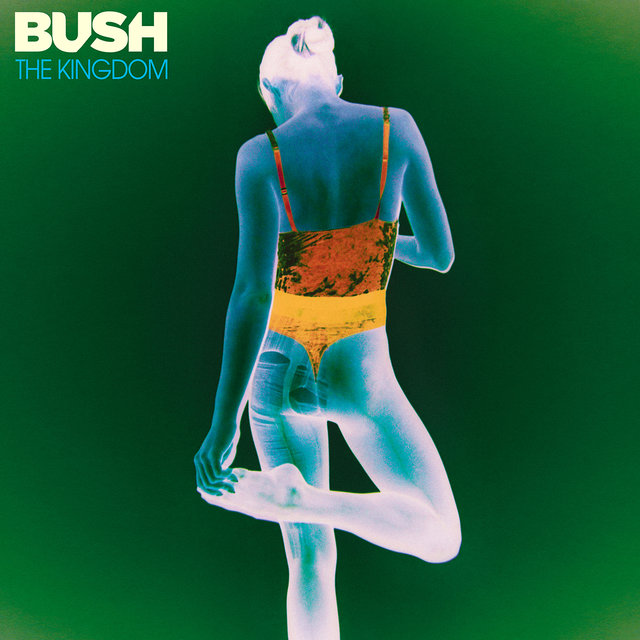 Cover art for album The Kingdom by Bush