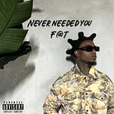 Never Needed You