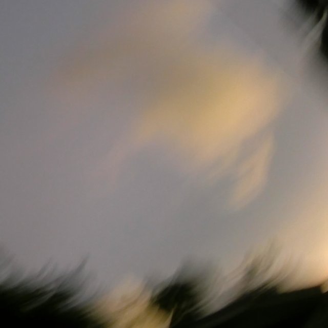 Yellow Rainbow
