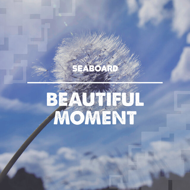 Beautiful Moment