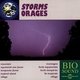 Cover art for album Storms Orages by BioSound