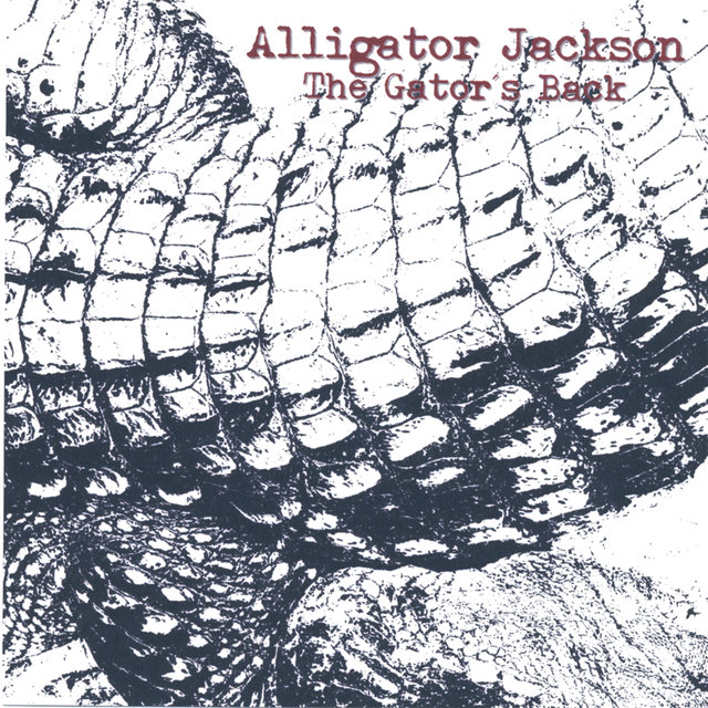 The Gator's Back