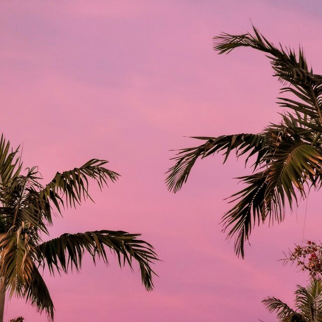 Hot Breeze