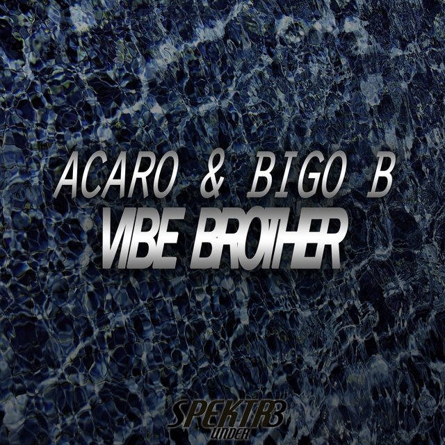 Vibe Brother