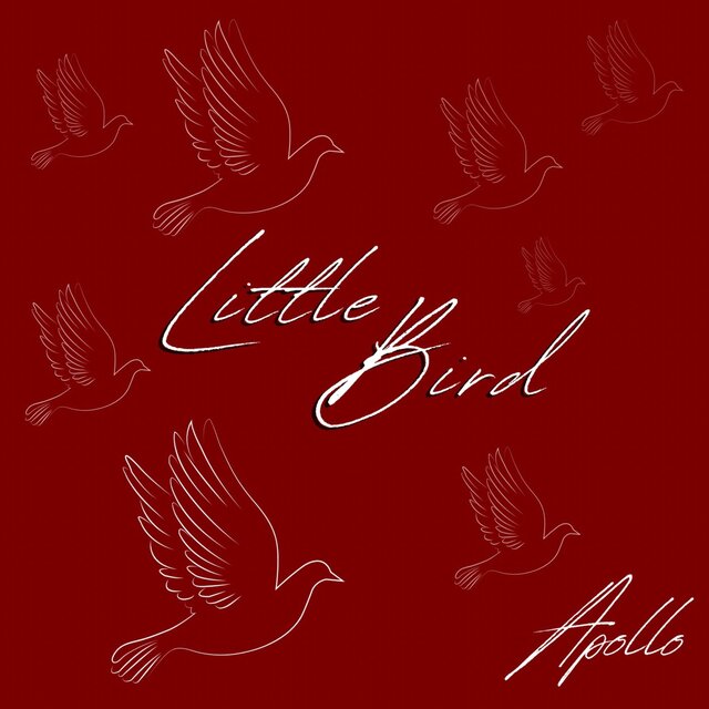 Little Bird