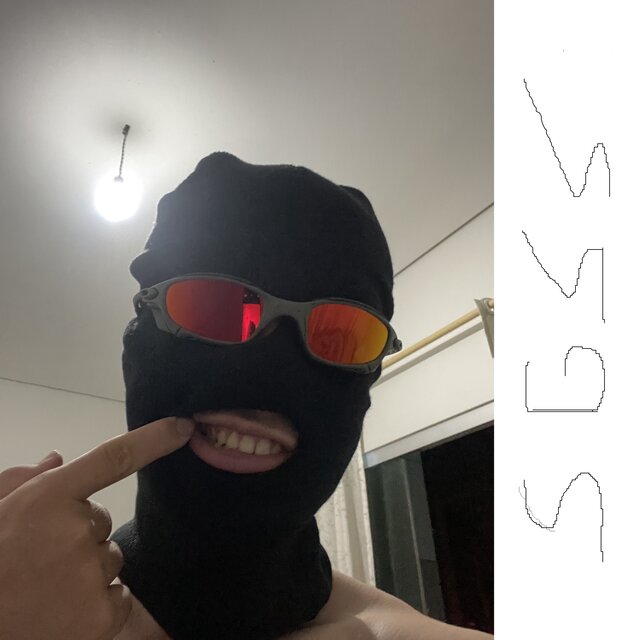 Vagabundo Nato