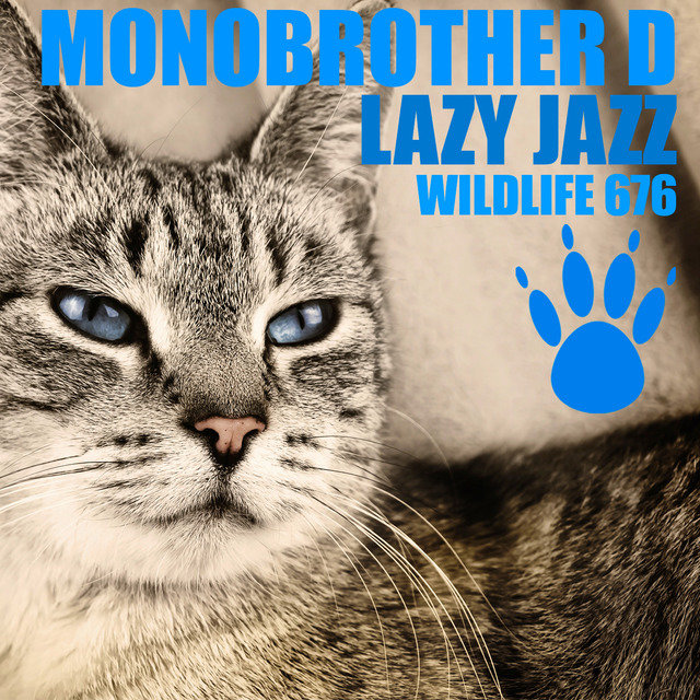 Lazy Jazz