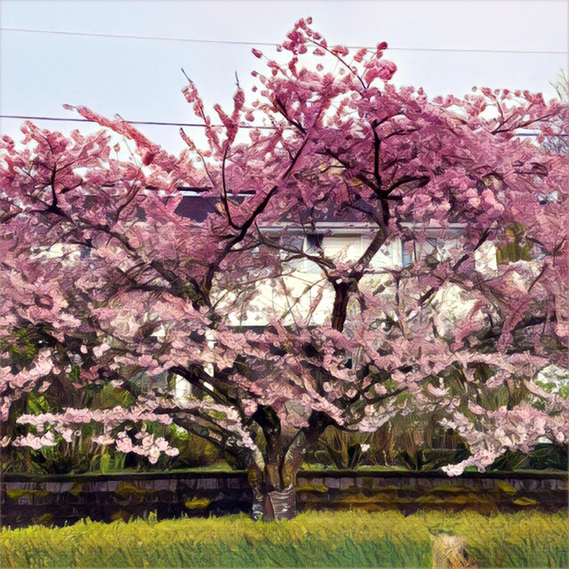 The Spring EP
