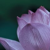 Isht Sodhana Mantra