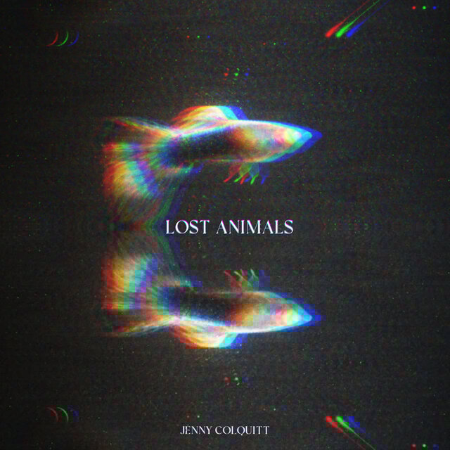 Lost Animals