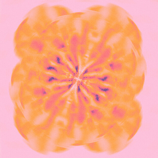 bloom
