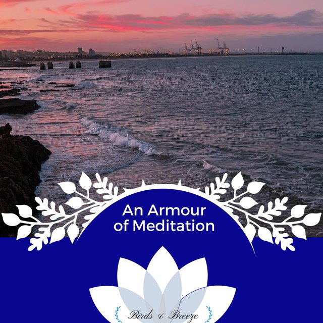 An Armour Of Meditation