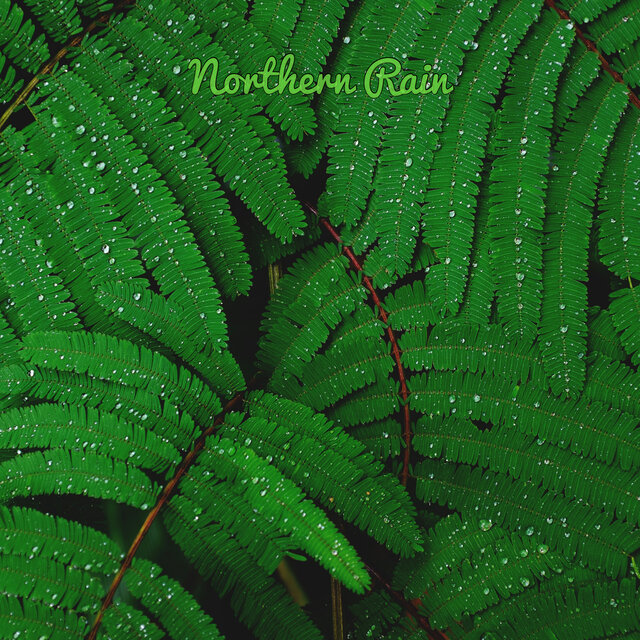 Northern Rain
