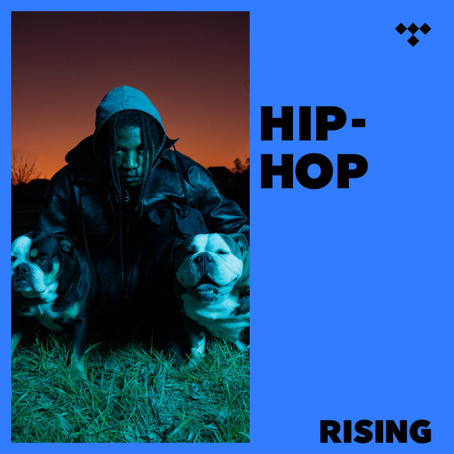 Cover art for album Hip-Hop: RISING by TIDAL