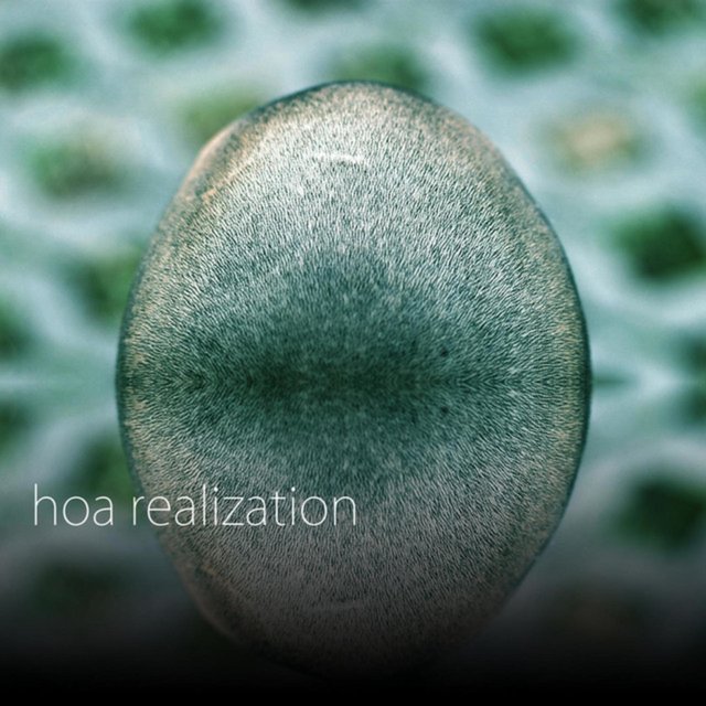 realization