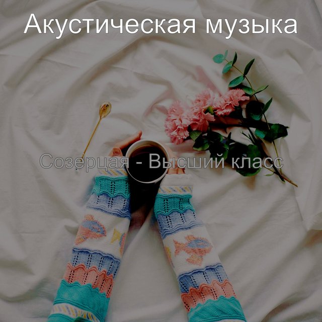 Созерцая - Высший класс