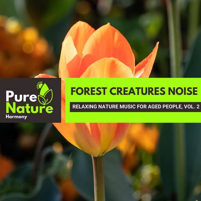 Forest Creatures Noise - Relaxing Nature Music for Aged People, Vol. 2