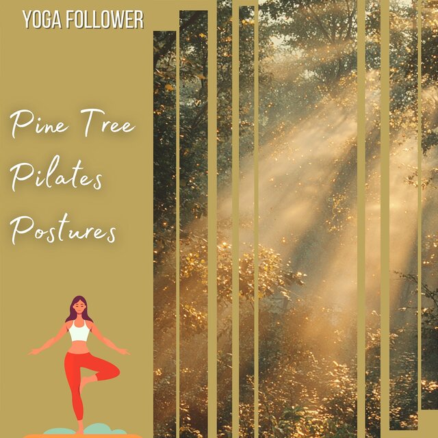 Pine Tree Pilates Postures