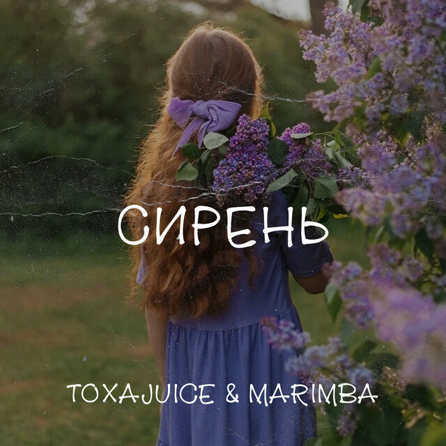 Сирень