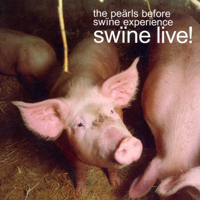 Swine Live!