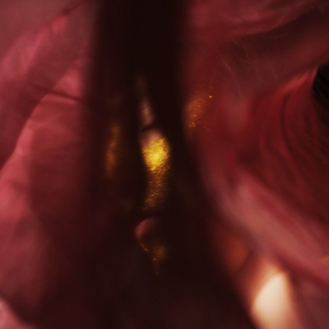 Palo Santo