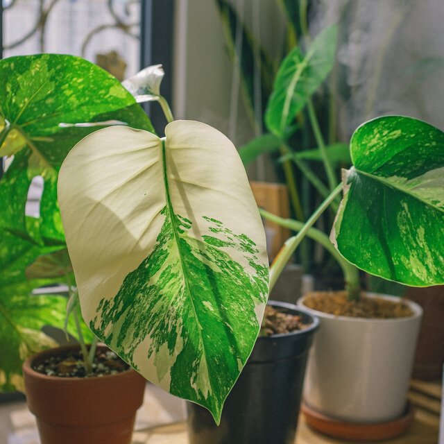 Mindful Harmony Nook