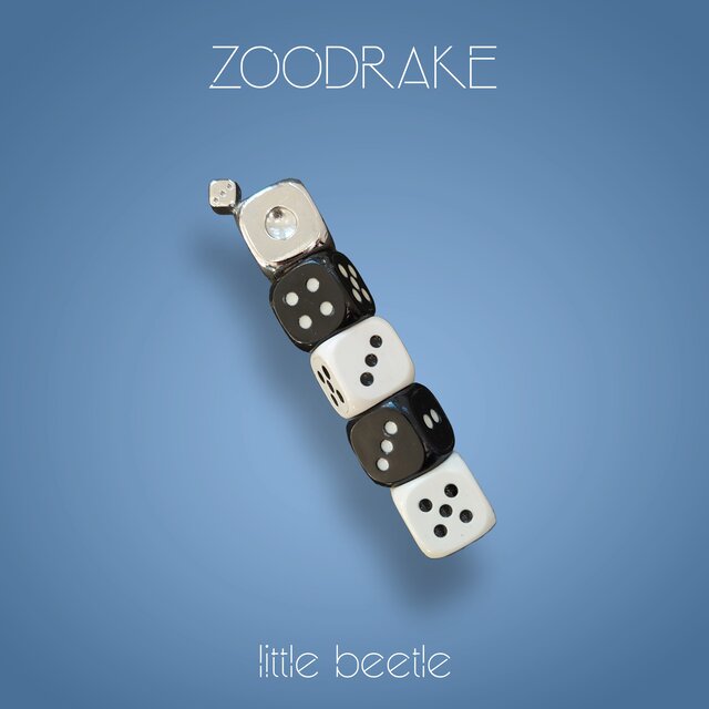 little beetle