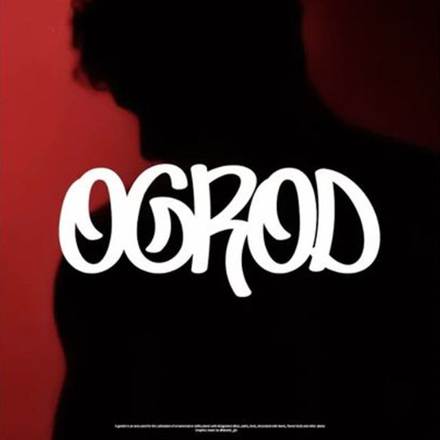 Ogród