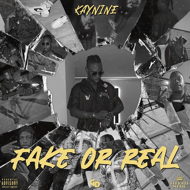 Fake or Real
