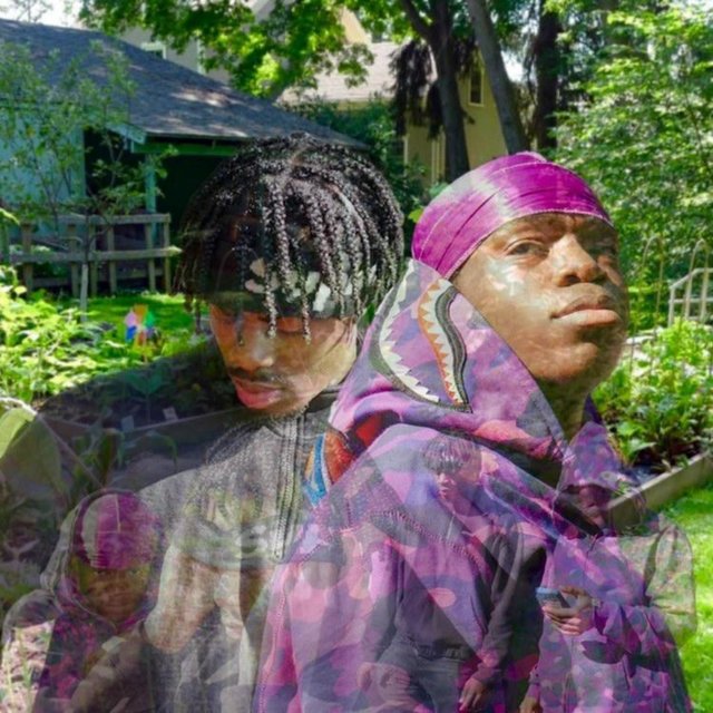 Yak & Nolo: The Garden